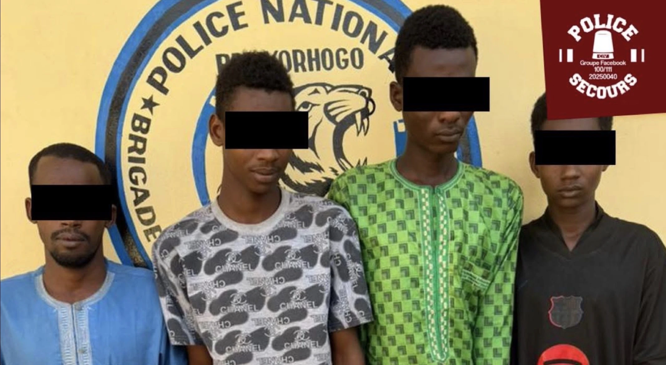 Korhogo : La BRI démantèle un réseau de voleurs de bœufs à Madoukaha